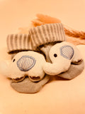 Söckchen Socken Baby Elefant 0-6 Monate